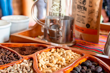 Coffee Culture and Rainforest Adventure in Oxapampa