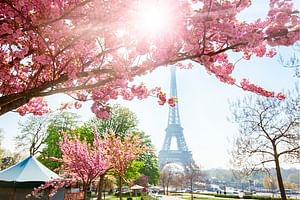 Live, Laugh, Love along the Seine Outdoor Escape Game in Paris