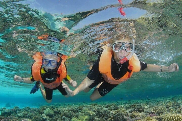 Snorkeling Day Trip to White Island & Ras Mohammed with VIP Boat 8