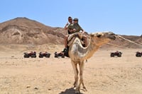 Super Moto Marine: ATV Quad, Buggy Car , Snorkeling – Marsa Alam