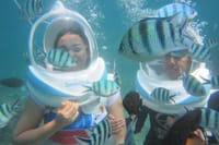 Bali Sea Walker and Watersports with Private Hotel Transfer 6