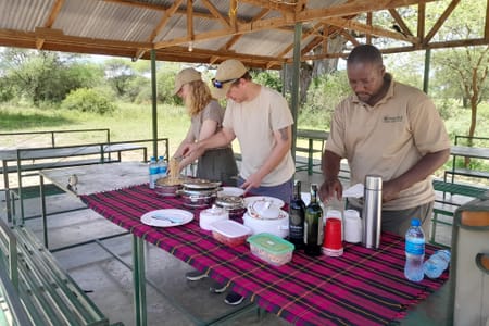 Zanzibar: Classic Comfort Safari, Tarangire & Ngorongoro