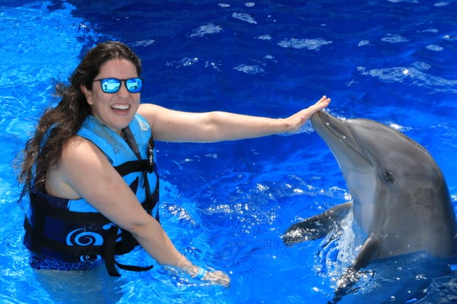 Dolphin Swim Adventure at Gulf World Marine Park photo 2