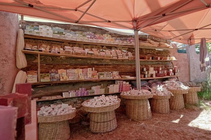 Journey from Traditional Markets to Modern Malls