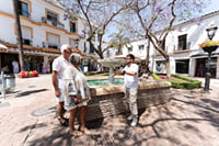 City Walk + Wine and Olive Oil tasting 1