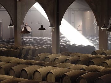 Private Winery Tour in Jerez de la Frontera, Spain