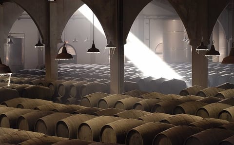 Private Winery Tour in Jerez de la Frontera, Spain