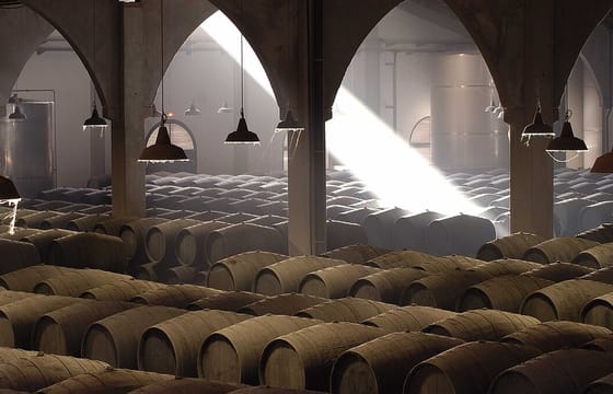 Jerez winery private visit
