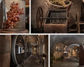 Santorini Private Wine Exprerience : 3 Wineries & Local Snacks 4