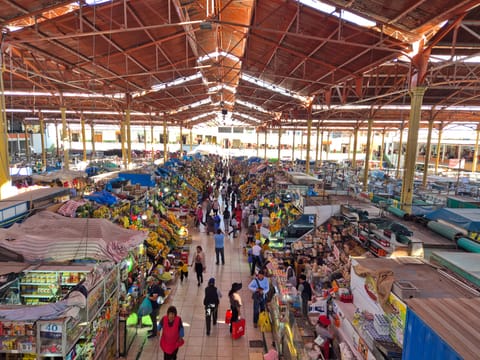 San Camilo Market Walking Tour