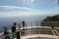 Amazing Skywalk, Madeira Wine Tasting and more... Half day in Open Roof 4x4 5