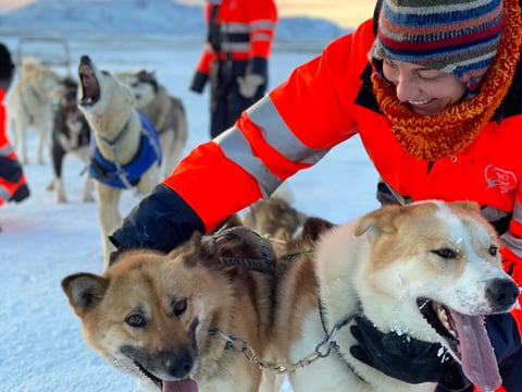 Dog Sledding Near Reykjavik 