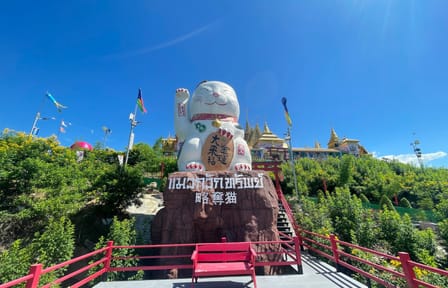 Day Tour to Buffalo Village and Sam Chuk Market in Bangkok