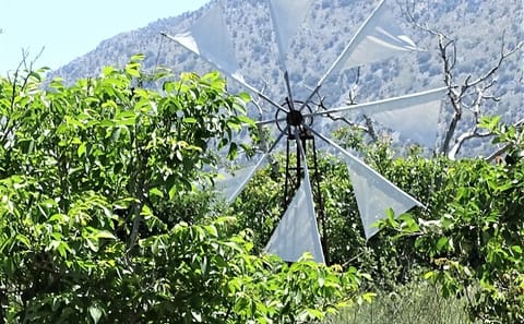 Private Tour of Knossos Palace, Zeus Cave, and Olive Oil Mill in Crete
