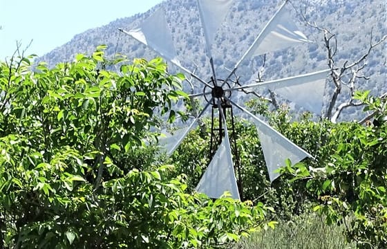 Private Tour-Knossos Palace Zeus Cave Olive Oil Mill & Wine