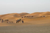 Camel Ride in Zagora Desert