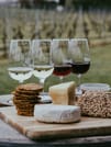 Wine Tour South of Rome 8