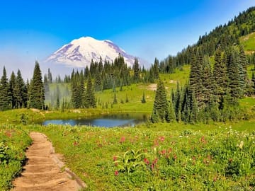 Small Group Mt. Rainier Tour with Air-Conditioned Van Transfer