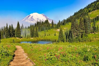 Small group Tour in Mt Rainier with air-conditioned Van Transfer