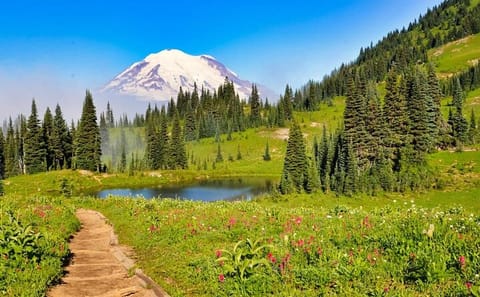 Small Group Mt. Rainier Tour with Air-Conditioned Van Transfer