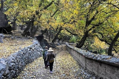 Atlas Mountains Day Trip with Panoramic View of Mount Toubkal