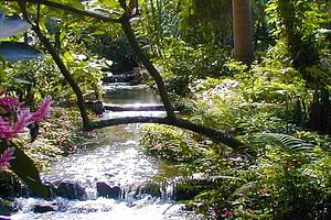 Private Tour From Ocho Rios To Konoko Falls And Garden and Shopping