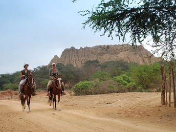 Pomac Forest Sanctuary and Sican Museum Tour in Chiclayo