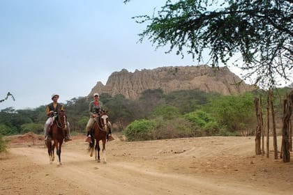 Pomac Forest Historic Sanctuary & Sican Museum in Chiclayo