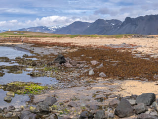 Snaefellsnes Private Tour At Iceland’s West Coast of Wonders, photo 18