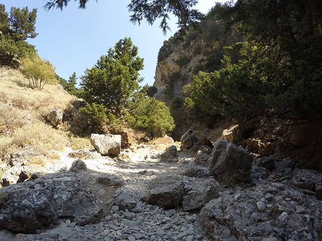 Excursion to Imbros Gorge & Frangokastelo from Heraklion & Surrounding Areas 5