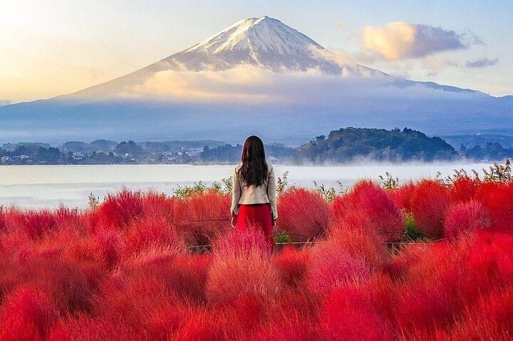 Customizable Private Tour in Mt Fuji from Tokyo by Car or Van