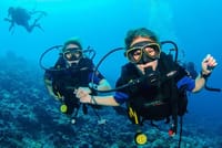 Scuba Diving Tour with Lunch in Alanya 9