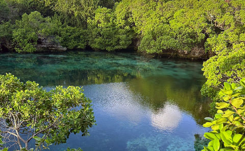 Mafia Island Blue Lagoon Snorkeling with Lunch