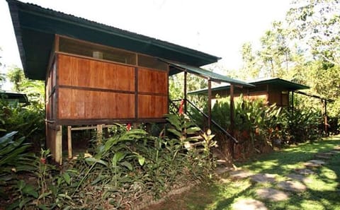 5 Day-Puerto Maldonado Amazon Eco-Lodge from Cusco