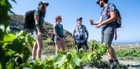 Cooking Class, Easy Hike and Snorkeling 7