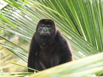 Guided Nature Tour of the Animal Rescue Center in San José