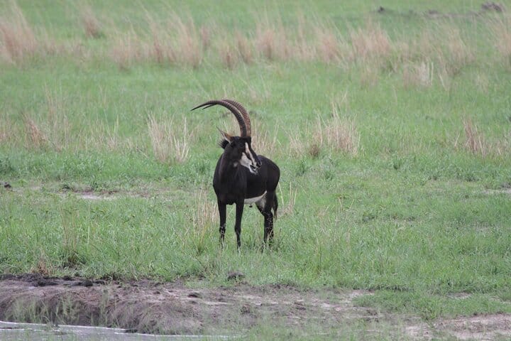 15 minutes scenic helicopter flight above Victoria Falls-Zimbabwe