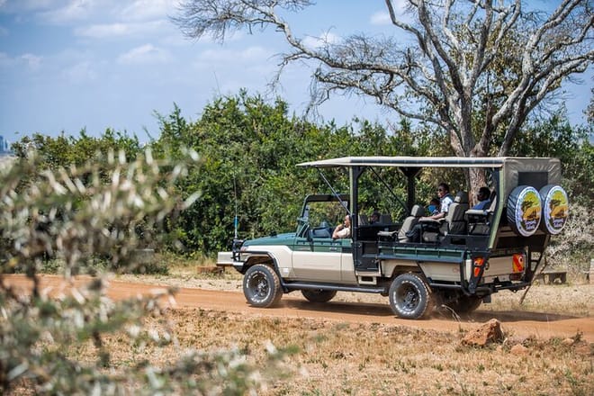 Nairobi National Park 4*4 Open Safari Jeep Rental photo 2