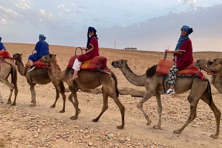 Private Transfer from Agafay and Marrakech Desert