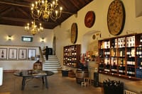 The oldest cellar of the region.