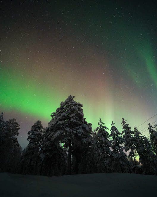 Rovaniemi: Insider Aurora Hunting
