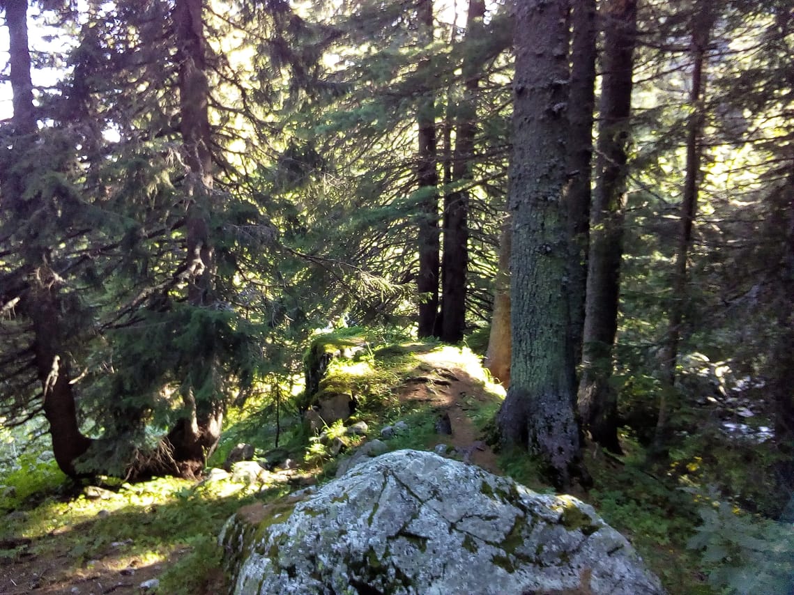 Private Trekking in Rila Mountains and Mt Mousala from Sofia 8