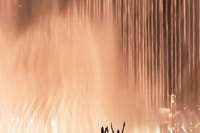 Dubai City Tour burj khalifa Fountain Show from Ras Al Khiamah  9