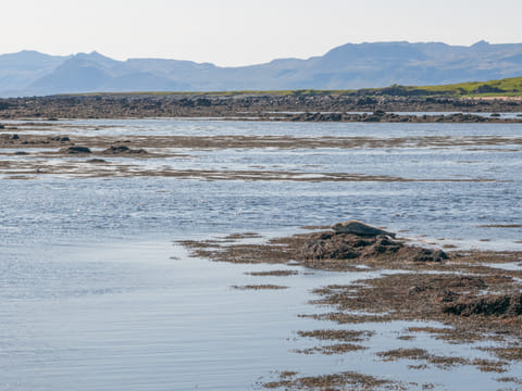 Snæfellsnes Peninsula Tour from Grundarfjordur Port, photo 4