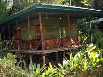 3-Day Amazon from Puerto Maldonado with Eco Lodge Accommodation