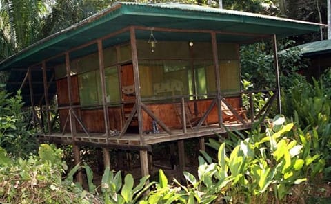 3-Day Amazon from Puerto Maldonado with Eco Lodge Accommodation