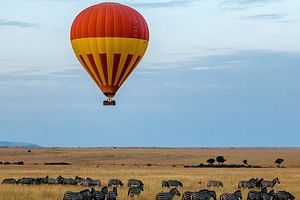 Serengeti & Ngorongoro 3 Days Budget Safari