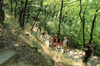 Meteora Half-Day Sightseeing Tour from Kalabaka 9