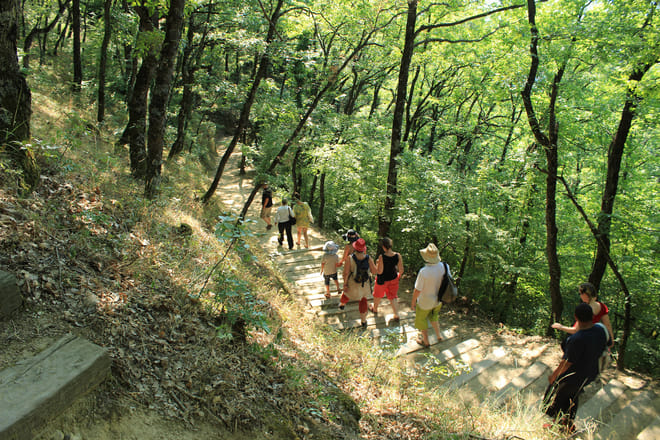 Meteora Half-Day Sightseeing Tour from Kalabaka 9