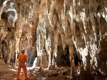 Alexander the Great Experience: Private Tour Vergina and Pella
